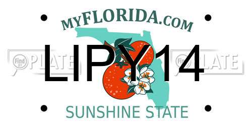 LIPY14 Florida License Plate