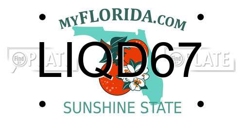 LIQD67 Florida License Plate