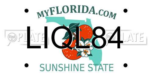 LIQL84 Florida License Plate