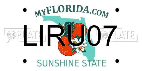 LIRU07 Florida License Plate