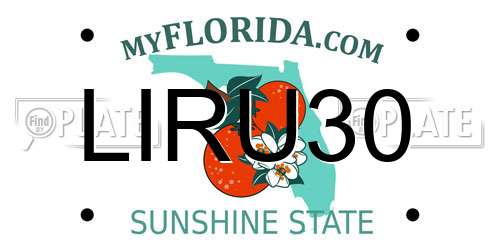 LIRU30 Florida License Plate