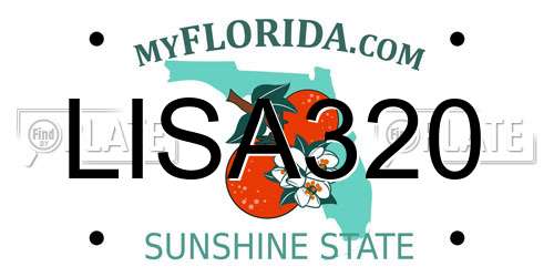LISA320 Florida License Plate