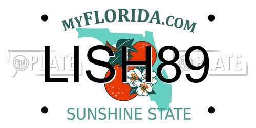 LISH89 Florida License Plate