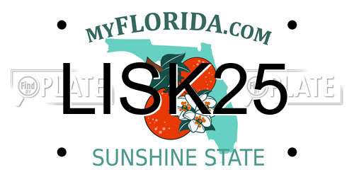 LISK25 Florida License Plate
