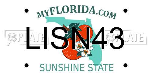 LISN43 Florida License Plate