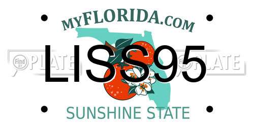LISS95 Florida License Plate