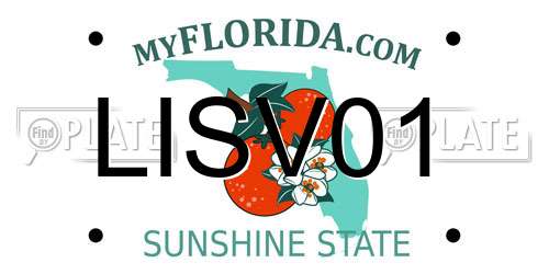 LISV01 Florida License Plate