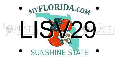 LISV29 Florida License Plate