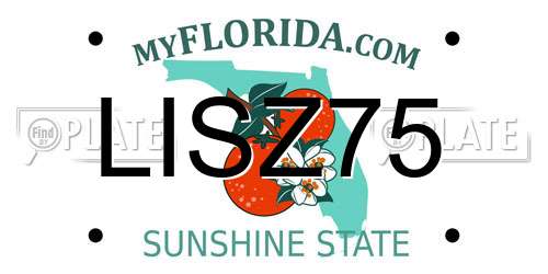 LISZ75 Florida License Plate