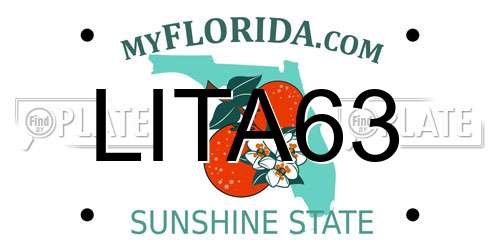 LITA63 Florida License Plate