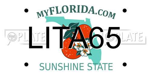 LITA65 Florida License Plate