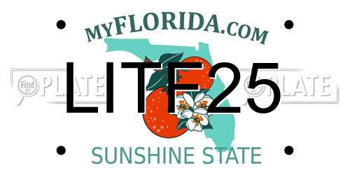 LITF25 Florida License Plate