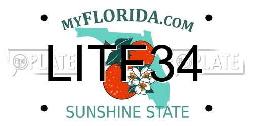 LITF34 Florida License Plate