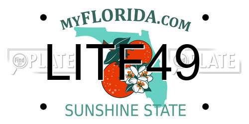 LITF49 Florida License Plate