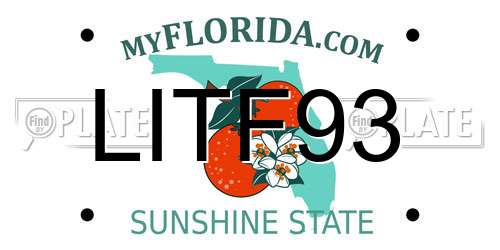 LITF93 Florida License Plate
