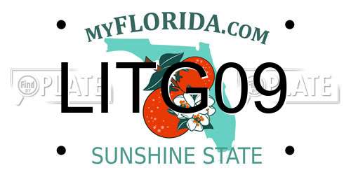 LITG09 Florida License Plate