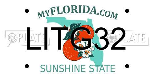 LITG32 Florida License Plate