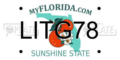 LITG78 Florida License Plate