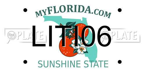 LITI06 Florida License Plate