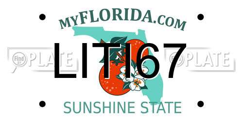 LITI67 Florida License Plate