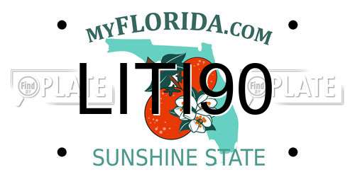 LITI90 Florida License Plate