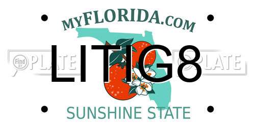 LITIG8 Florida License Plate