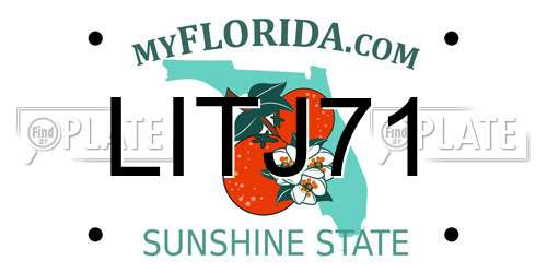 LITJ71 Florida License Plate