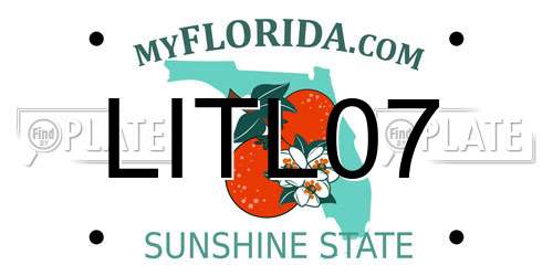LITL07 Florida License Plate