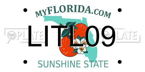 LITL09 Florida License Plate