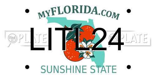 LITL24 Florida License Plate