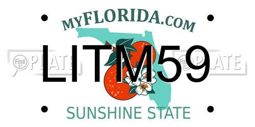 LITM59 Florida License Plate