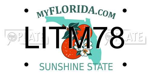 LITM78 Florida License Plate