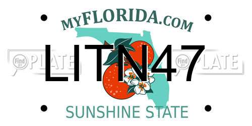 LITN47 Florida License Plate