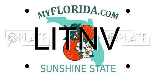 LITNV Florida License Plate
