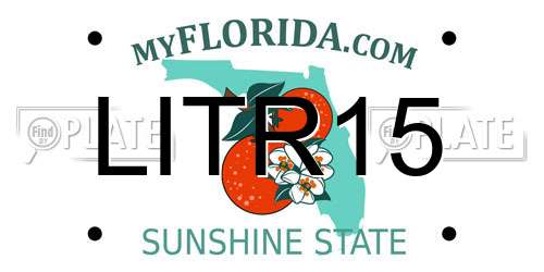 LITR15 Florida License Plate