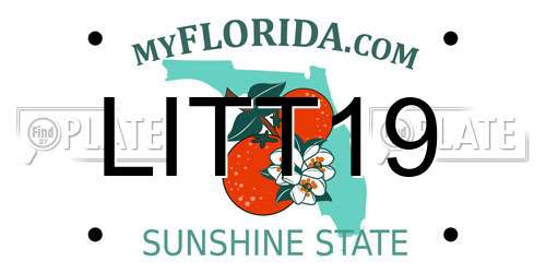 LITT19 Florida License Plate