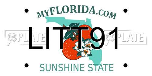 LITT91 Florida License Plate