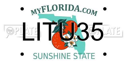 LITU35 Florida License Plate