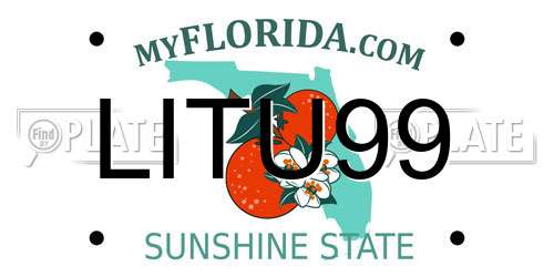 LITU99 Florida License Plate