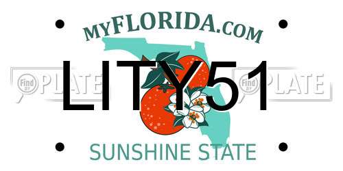 LITY51 Florida License Plate