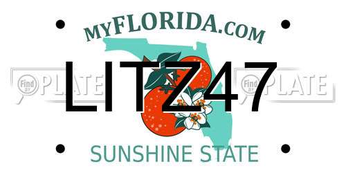 LITZ47 Florida License Plate
