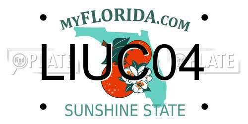 LIUC04 Florida License Plate