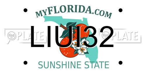 LIUI32 Florida License Plate