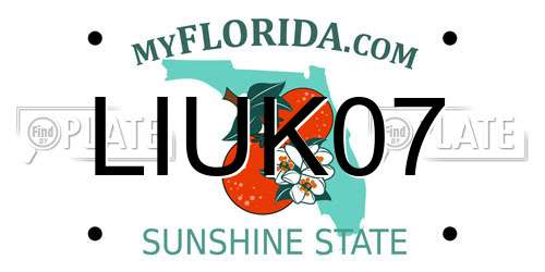 LIUK07 Florida License Plate