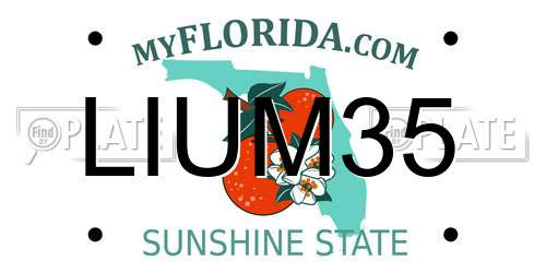 LIUM35 Florida License Plate