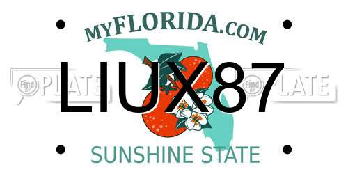 LIUX87 Florida License Plate