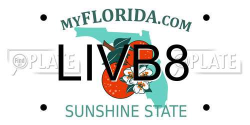 LIVB8 Florida License Plate