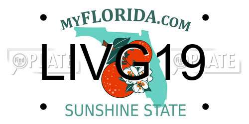 LIVG19 Florida License Plate