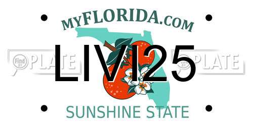 LIVI25 Florida License Plate