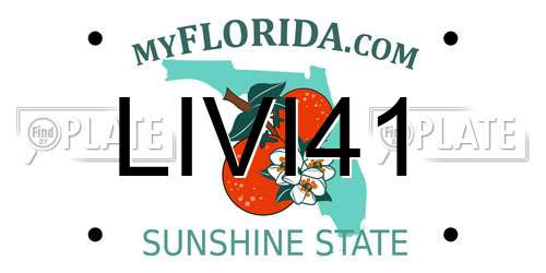 LIVI41 Florida License Plate